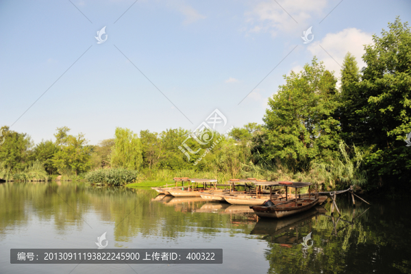 杭州,西溪,公園,夏天,早晨