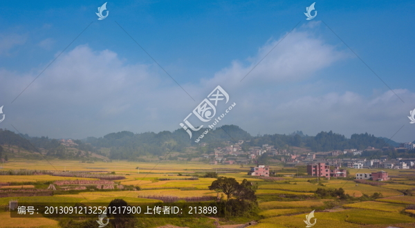 田野,稻田