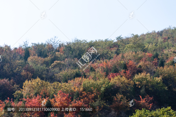秋天北宮山森林