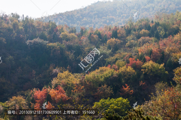 秋天的北宮山森林