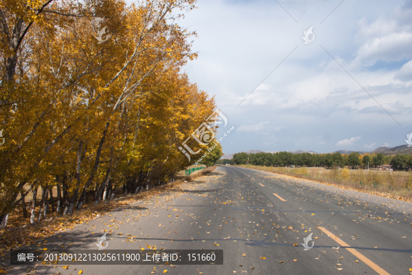 秋天的道路