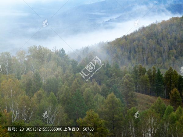 山林云海圖
