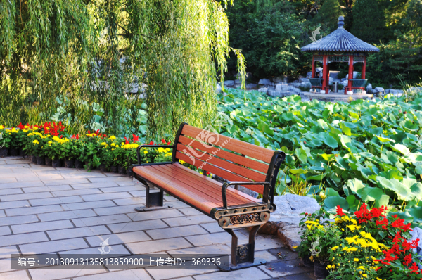 北京八大處荷塘小景