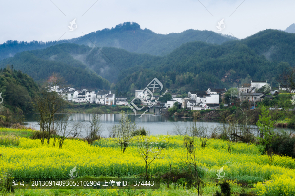 婺源油菜花