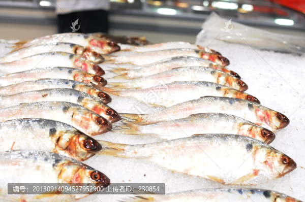 超市冷鮮魚