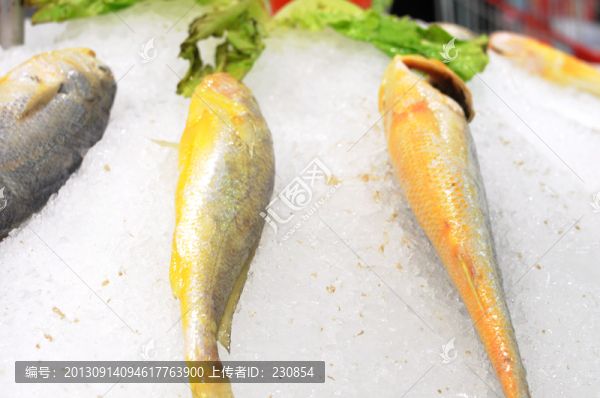 超市冷鮮魚,黃魚