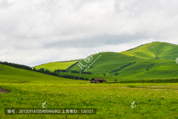 草原風光