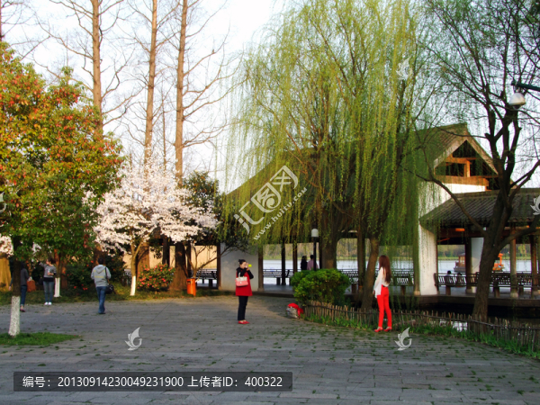西湖,楊公堤,春季,夕陽(yáng),庭院