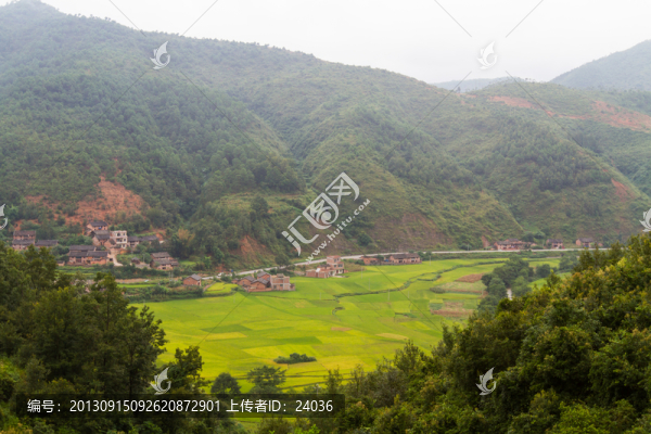 田野風(fēng)光