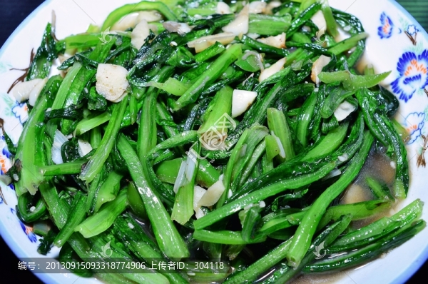 西安世園會(huì)