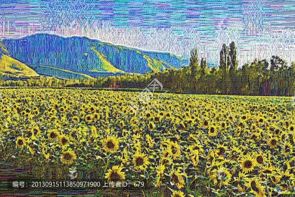 線畫,,,葵花地