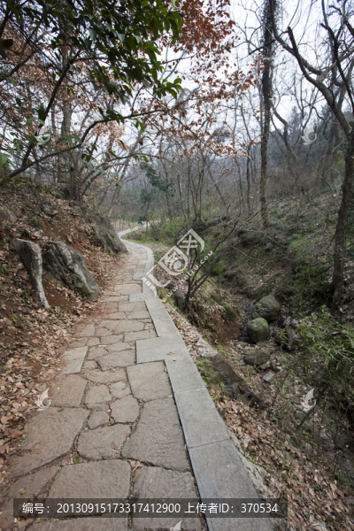 棲霞山,南京,道路,樹木,山坡