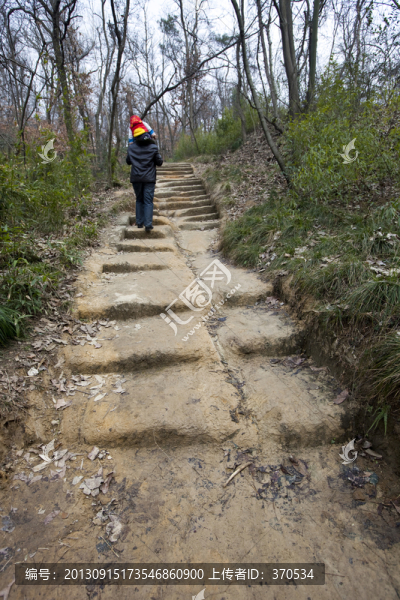 棲霞山,南京,道路,樹木,山坡
