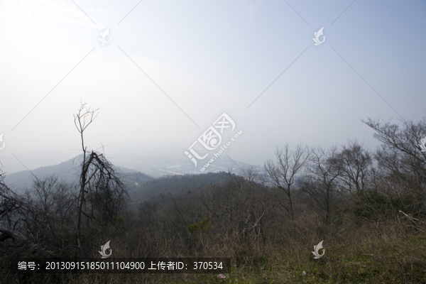 棲霞山,南京,樹木,山坡,古跡