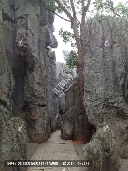 石林小路