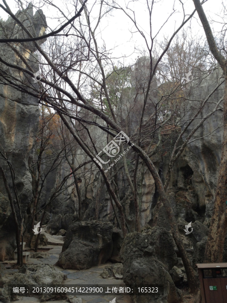 石林風景