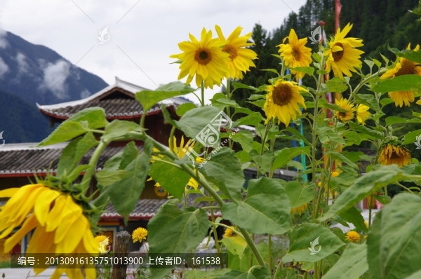 九寨溝商業(yè)步行街