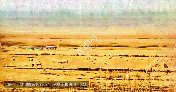 青海湖,湖泊