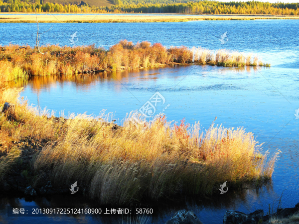 阿爾山杜鵑湖秋景