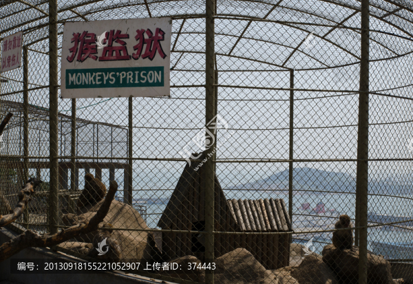 猴監(jiān)獄