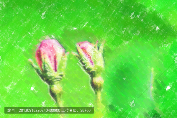 含苞欲放,電腦畫