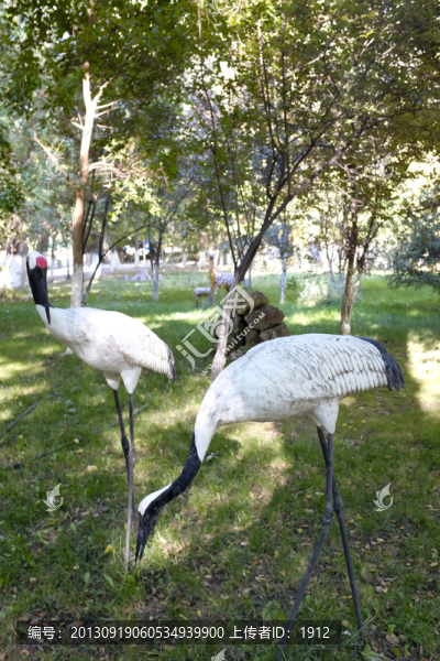 公園綠地