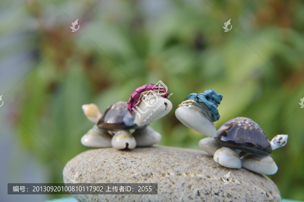 工藝品,貝殼,烏龜