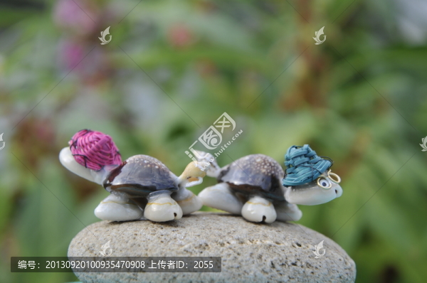 工藝品,貝殼,烏龜