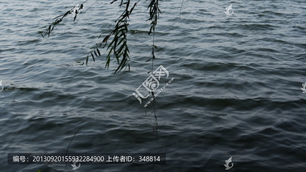 湖泊,水景,公園