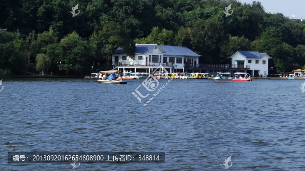 湖泊,水景,公園