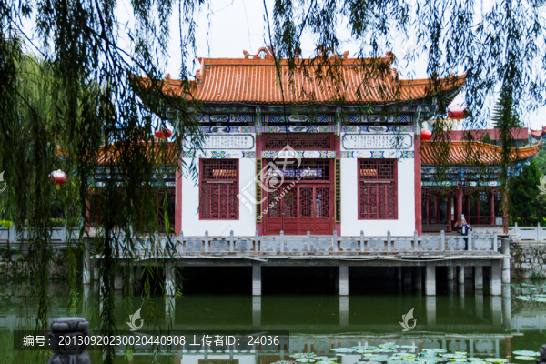 蓮湖公園,垂柳,樓臺