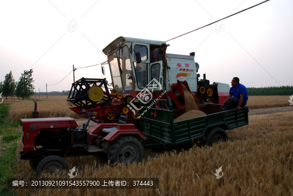 麥?zhǔn)? title=
