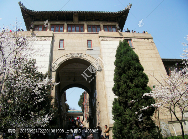 武漢大學櫻花大道