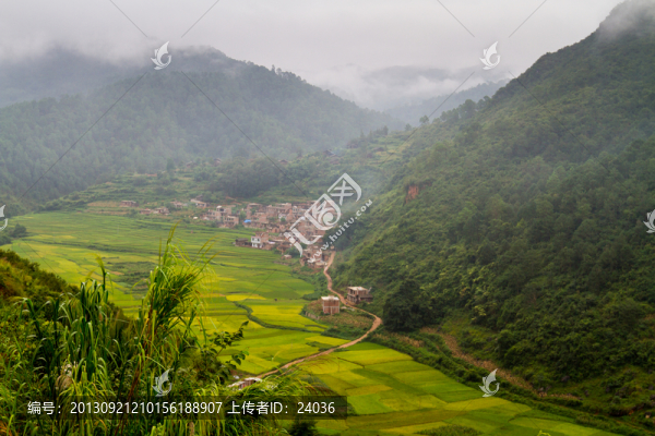 田園風(fēng)光
