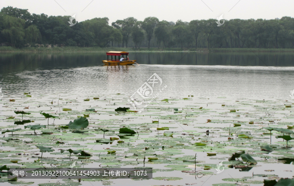 半湖煙柳半湖荷