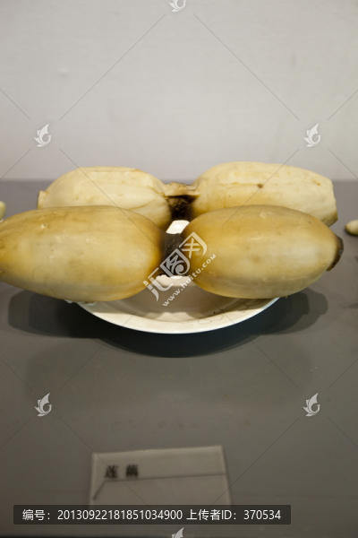 蓮藕