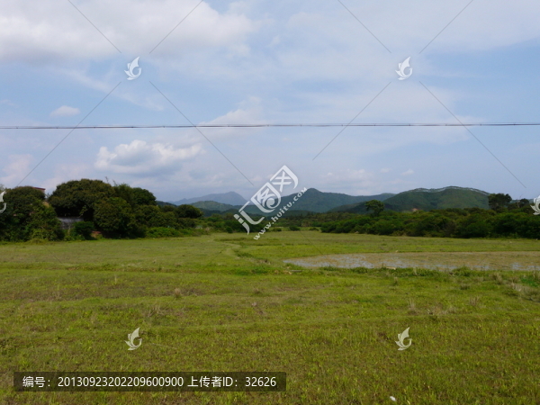田