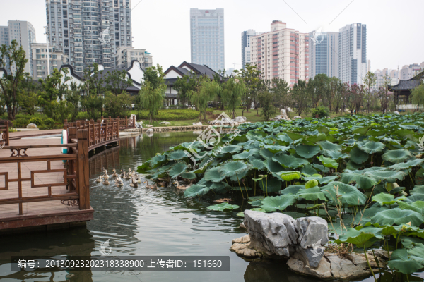 武漢沙湖