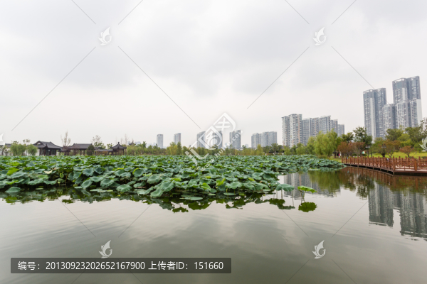 武漢沙湖
