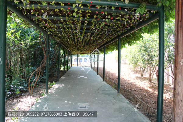 隱賢山莊