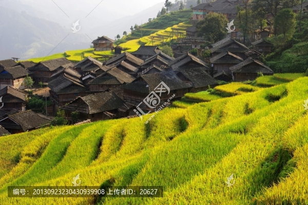 加榜金秋美如畫(huà)