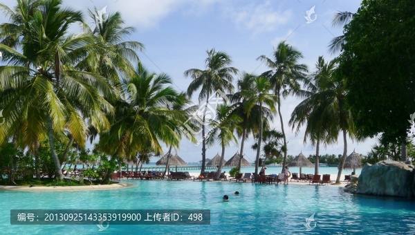 游泳池,,棕櫚樹,,馬爾代夫