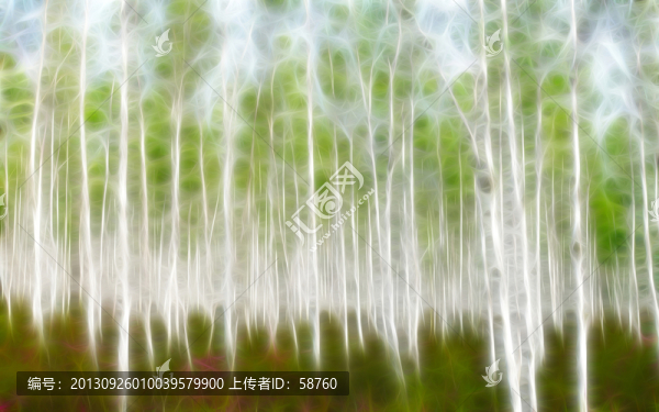 夢(mèng)幻白樺林,電腦抽象畫(huà)