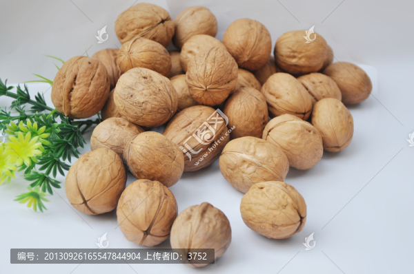 核桃,堅果
