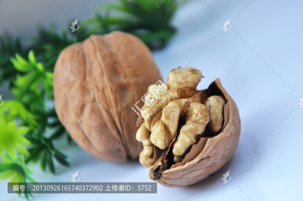 核桃,,堅果