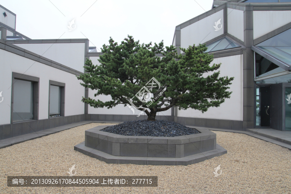 蘇州博物館