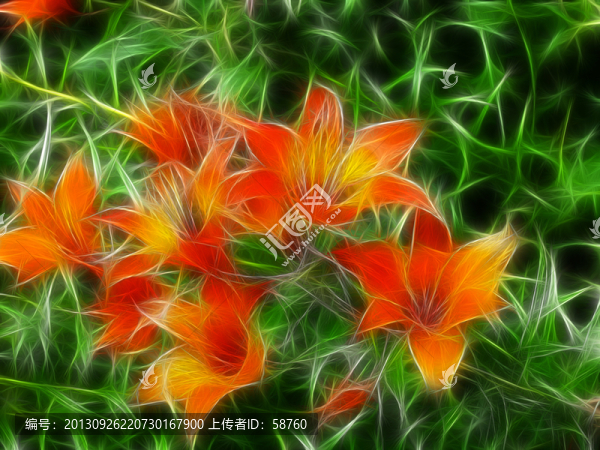 百合花,電腦抽象畫