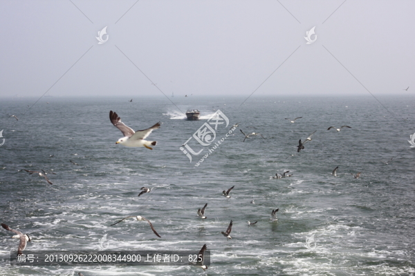 海上游船