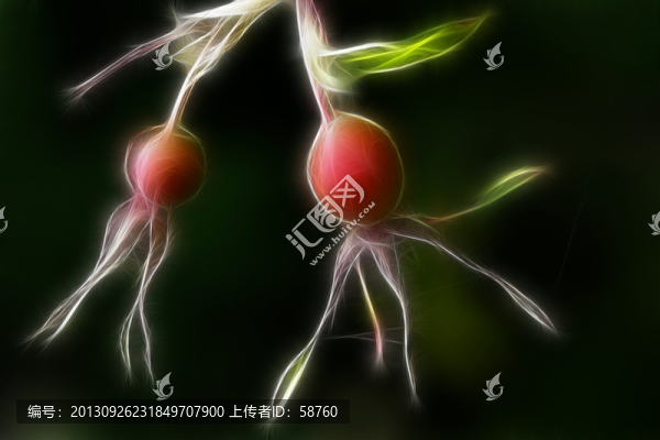 野薔薇果,電腦抽象畫