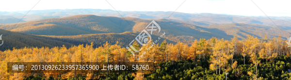 大興安嶺原始森林秋景